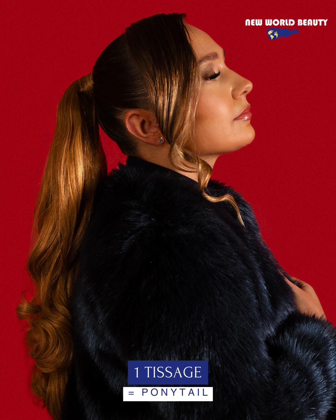 2 Tissages Colorés Brazilian Remy Hair = Ponytail